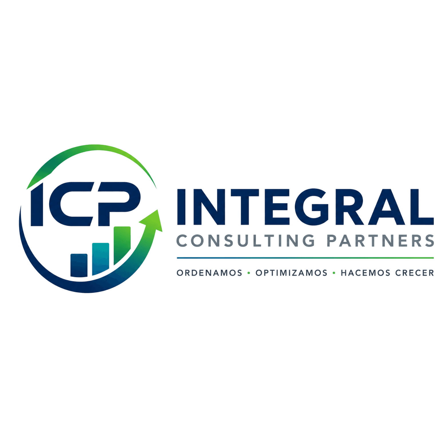 Integral Consulting Partners